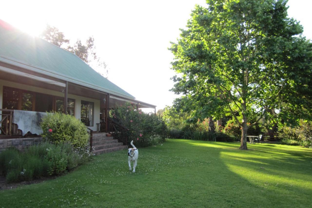 Bed and Breakfast Forest Glen Книсна Екстер'єр фото